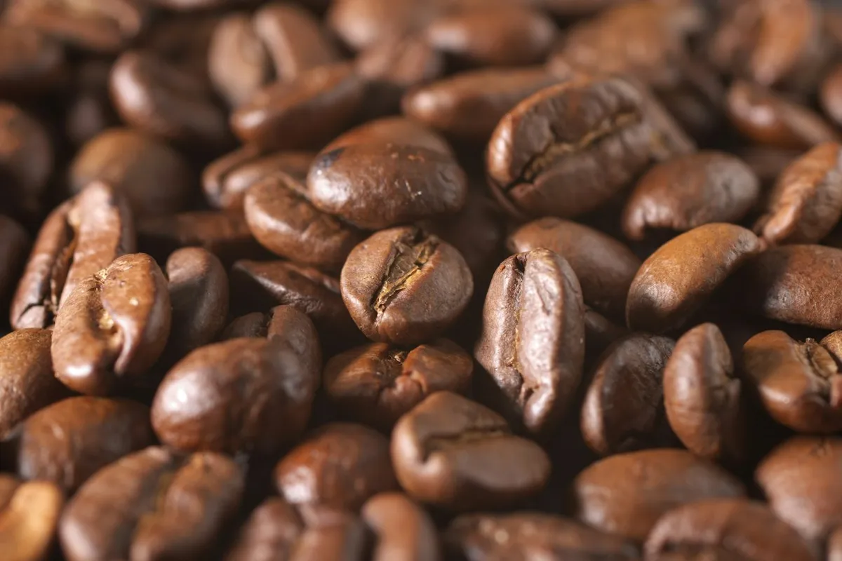 Café fresco servido em xícara clara sobre mesa de cozinha, ilustrando o preparo de cafeteira elétrica de filtro